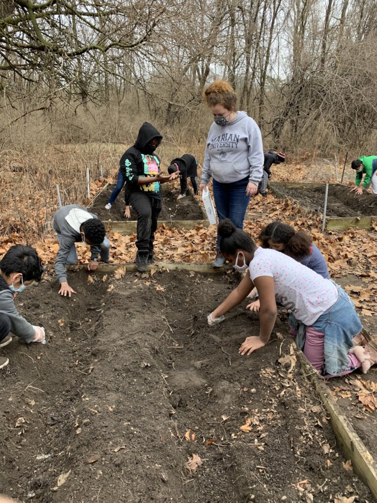 Powering Community Gardens Across the US