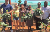 Powering Community Gardens Across the US