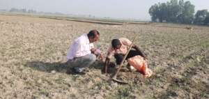 Soil testing on the new land