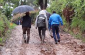 Support small vulnerable farmers from winter wave