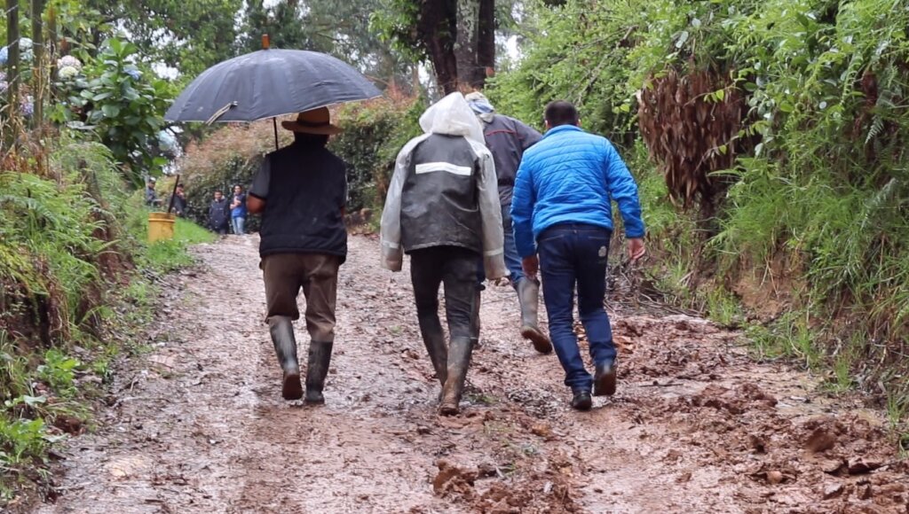 Support small vulnerable farmers from winter wave