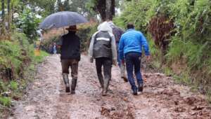 Support small vulnerable farmers from winter wave