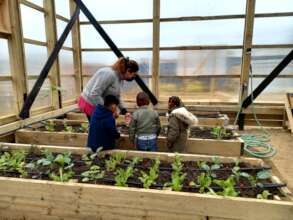 Childrens playing in a greenhouse