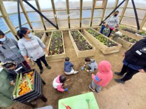Childrens playing in a greenhouse