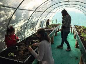 Setting up a greenhouse in a kindergarten