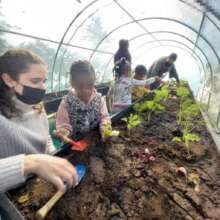 little girls learning how to plant