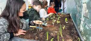 Agro-environmental education for 250 children