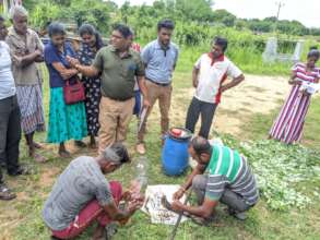 Hands-on organic farming training