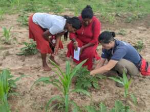 Hands-on organic farming training