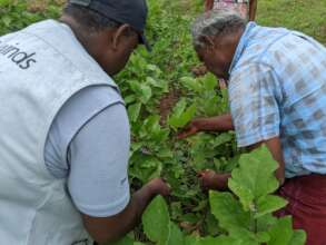 Hands-on organic farming training
