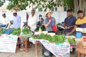 Organic farmer's market in Sri Lanka