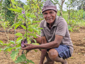 Sri Lankan farmer cares for crops