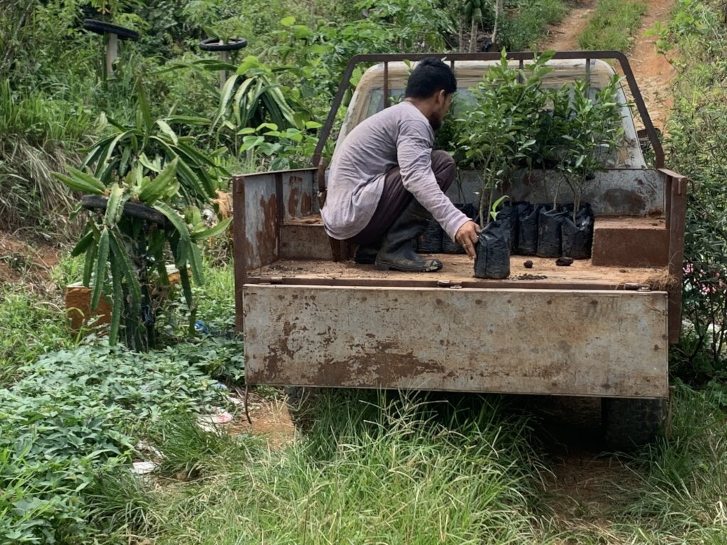 Continue with support