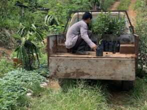 Continue with support