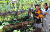 Heirloom Seeds Collection and Distribution Project