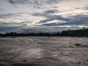 On the Rio Napo (Napo River)
