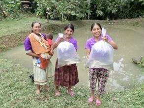 Women in Sani Isla releasing cachama