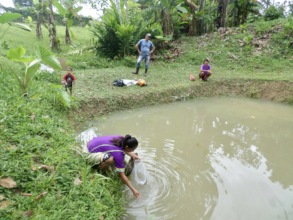 Releasing the cachama
