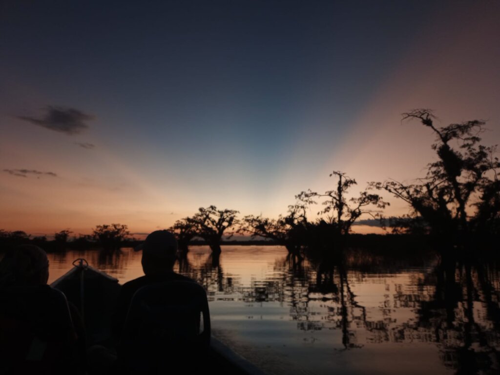 The Amazon