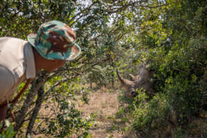 Using Drones to Protect Black Rhino in Kenya