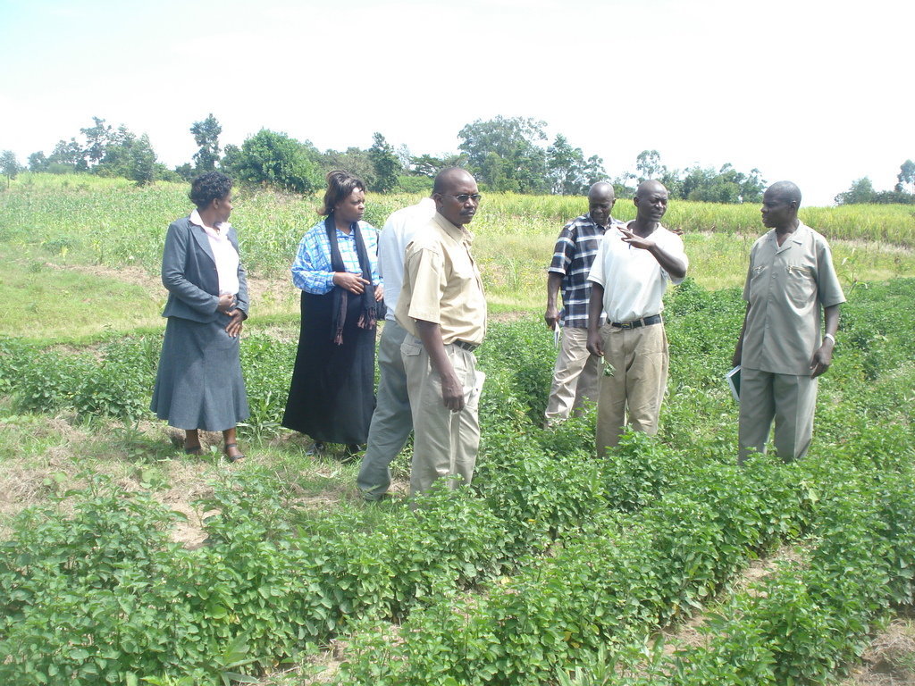 Promote Eco-Friendly Farming in Kenya.