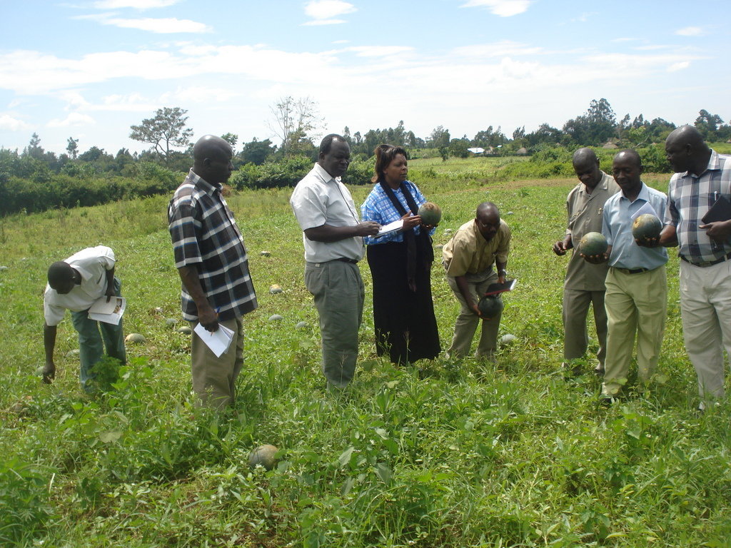 Promote Eco-Friendly Farming in Kenya.