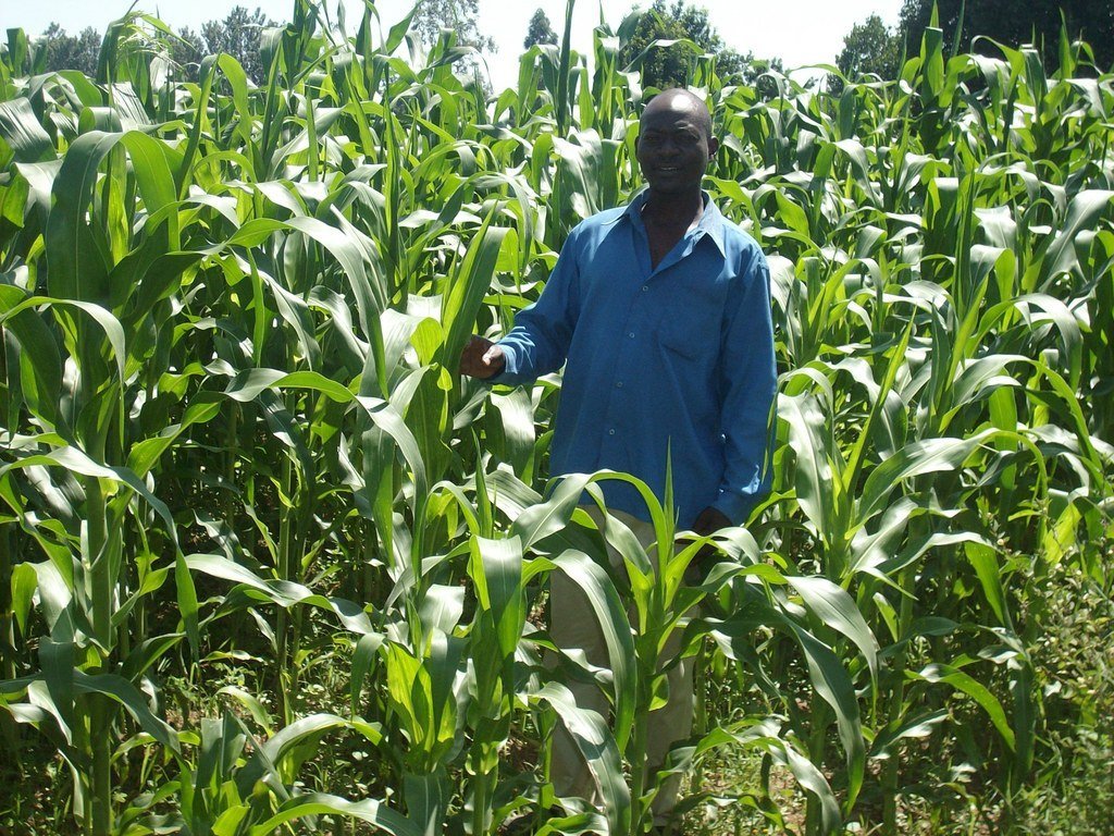 Promote Eco-Friendly Farming in Kenya.
