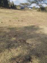 The acquired Land for the proposed Safe Shelter 2