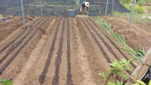 purchase of irrigation material