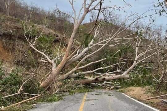 Aid for the recovery of the Oaxacan coast