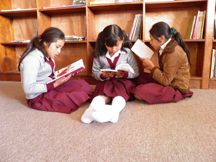 Asturias Academy Library: Reading for Change