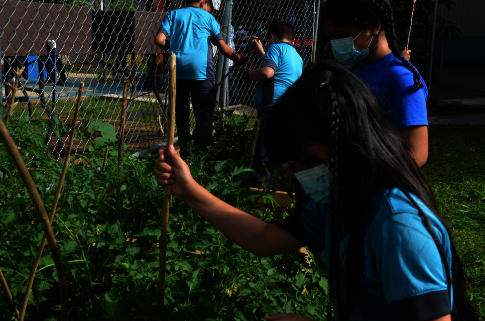 Help PR Montessori public school transformation