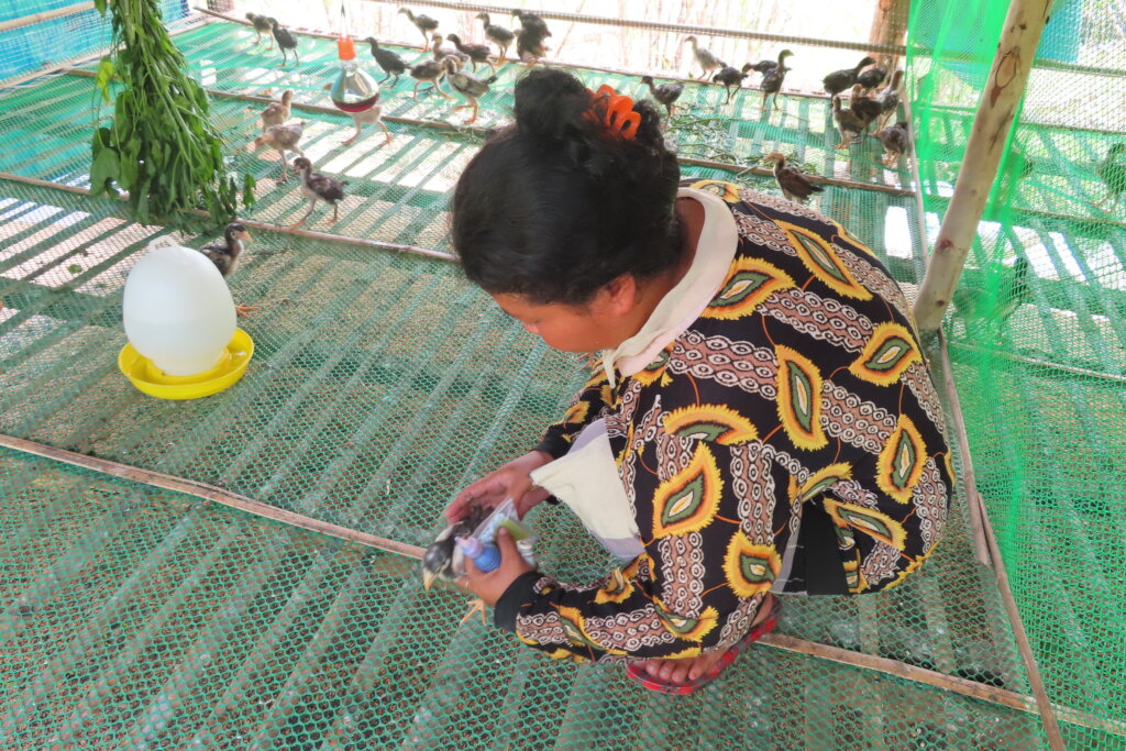 Help Rural Cambodians Escape Hunger and Poverty