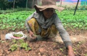 Help Rural Cambodians Escape Hunger and Poverty
