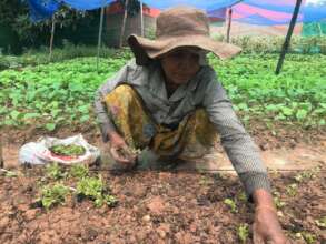 Help Rural Cambodians Escape Hunger and Poverty