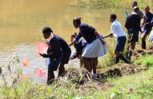Water Quality Study