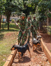 The canine unit at a training course this year