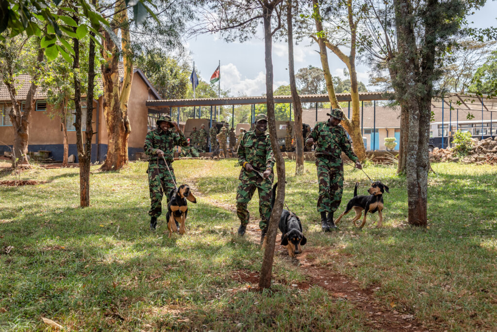 On The Scent: Meet the Dogs Protecting 200 Rhinos