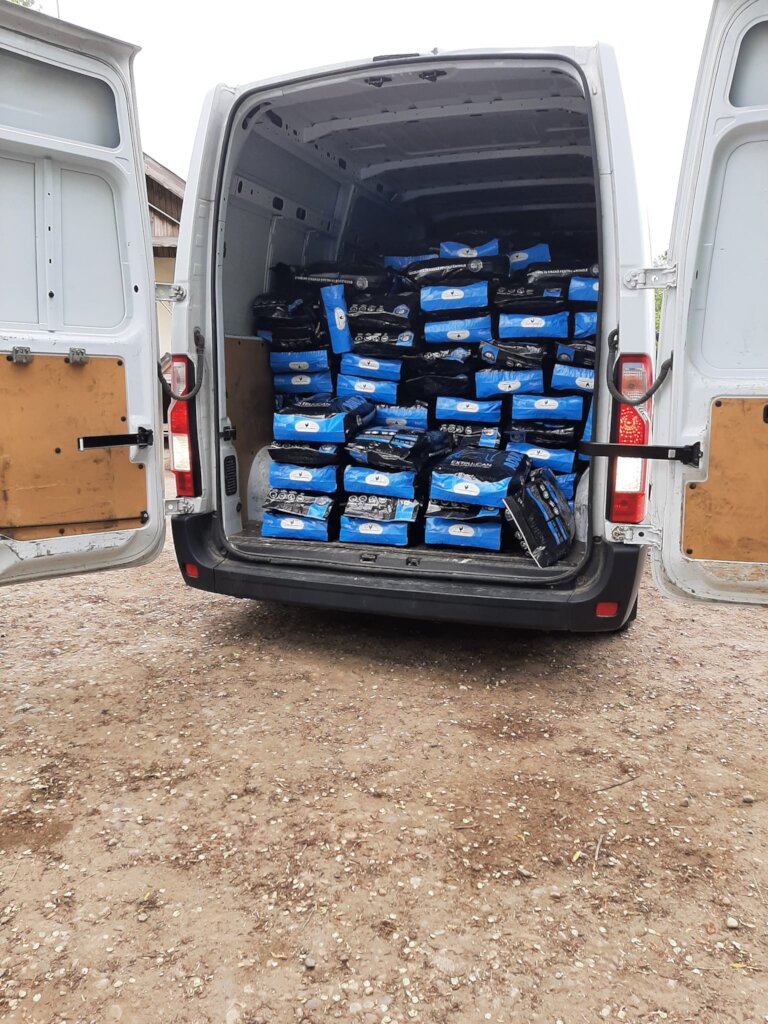 Food for 250 Street Dogs and 40 Cats in Romania