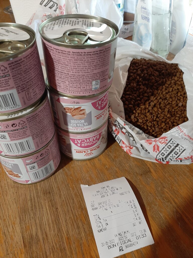 Food for a cat and her kittens