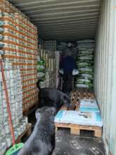 Professionals examine the delivery