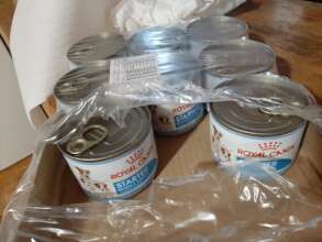 Food for a mother and her puppies