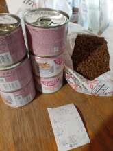 Food for a cat and her kittens