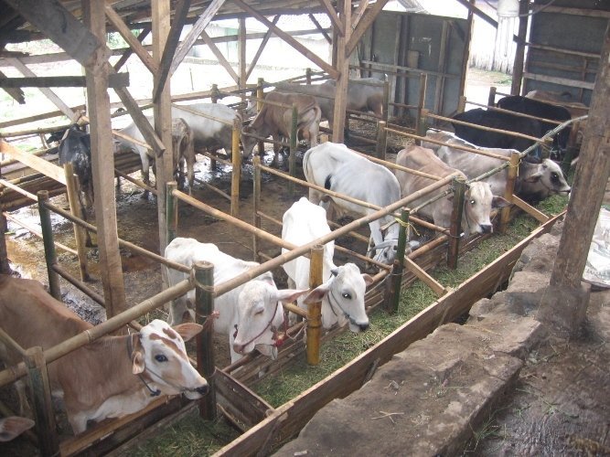 Biogas Utilization for Empowerment Communities