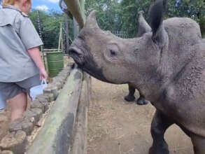 Angie and Eve excited to get their milk feed