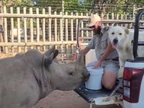 Peter and Angie getting their milk