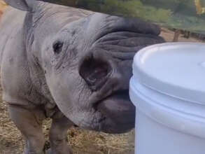 Peter's final milk feed