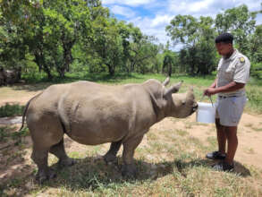 Thaba enjoying one of his milk feeds