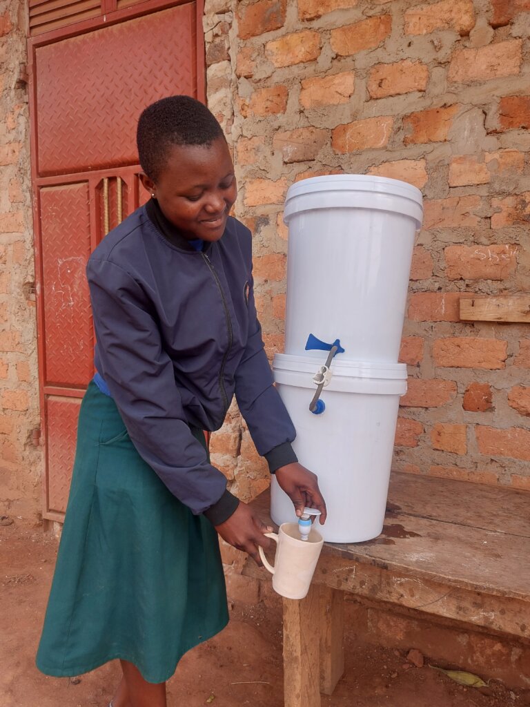 Portable water filter