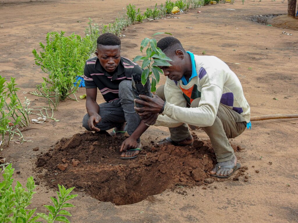 Better environment by planting trees in Mozambique